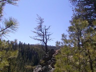 Jemez Mountain Trail National Scenic Byway photo thumbnail