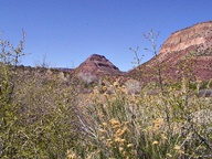 Jemez Mountain Trail National Scenic Byway photo thumbnail