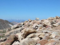 Mount Blue Sky Scenic Byway photo thumbnail