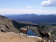 Mount Blue Sky Scenic Byway photo thumbnail