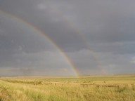 Rainbow photo thumbnail