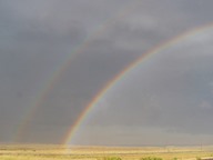 Rainbow photo thumbnail