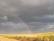 Rainbow photo thumbnail