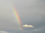 Rainbow photo thumbnail