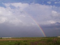 Rainbow photo thumbnail