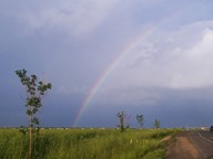 Rainbow photo thumbnail