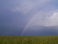 Rainbow photo thumbnail