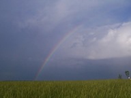 Rainbow photo thumbnail