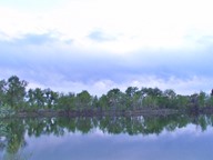 Reflections photo thumbnail