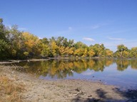 Reflections thumbnail