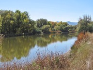 Reflections photo thumbnail