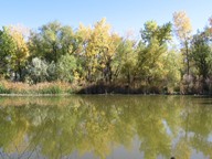 Reflections photo thumbnail