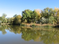 Reflections photo thumbnail