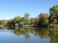 Reflections photo thumbnail