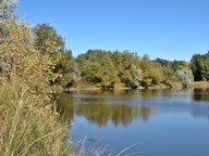 Reflections photo thumbnail