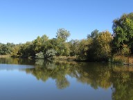 Reflections photo thumbnail
