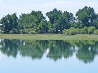 Barr Lake Reflection photo thumbnail
