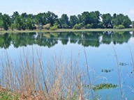 Barr Lake Reflection photo thumbnaill