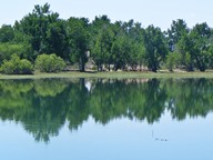 Barr Lake Reflection photo thumbnail