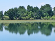 Barr Lake Reflection photo thumbnail