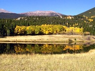 Reflections photo thumbnail