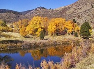 Cache la Poudre River Reflections photo thumbnail