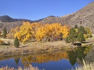 Cache la Poudre River Reflections photo thumbnail