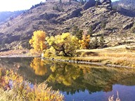 Cache la Poudre River Reflections photo thumbnail