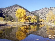 Cache la Poudre River Reflections photo thumbnaill