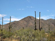 Tucson Mountain Park photo thumbnail