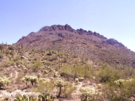 Tucson Mountain Park photo thumbnail