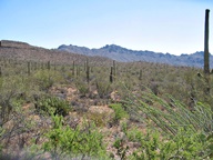 Tucson Mountain Park photo thumbnail