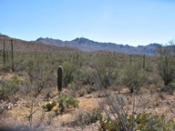 Tucson Mountain Park photo thumbnail
