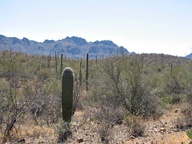 Tucson Mountain Park photo thumbnail