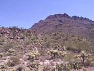 Tucson Mountain Park photo thumbnail
