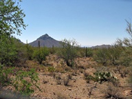 Tucson Mountain Park photo thumbnail