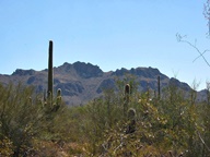 Tucson Mountain Park photo thumbnail