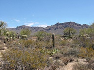 Tucson Mountain Park photo thumbnail
