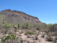 Tucson Mountain Park photo thumbnail