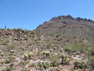 Tucson Mountain Park photo thumbnail