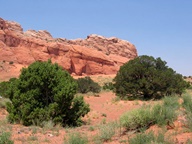 Vermillion Cliffs Scenic Drive photo thumbnail