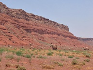 Vermillion Cliffs Scenic Drive photo thumbnail