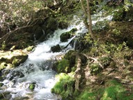 Rifle Falls State Park Waterfall photo thumbnail