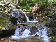 Waterfall photo thumbnail
