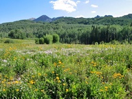 West Elk Loop Byway photo thumbnail