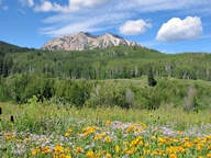 West Elk Loop Byway photo thumbnail