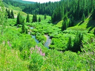 West Elk Loop Byway photo thumbnail