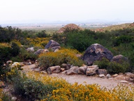 White Tank Mountain Regional Park photo thumbnail