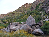 White Tank Mountain Regional Park photo thumbnail
