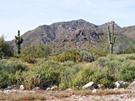 White Tank Mountain Regional Park photo thumbnail